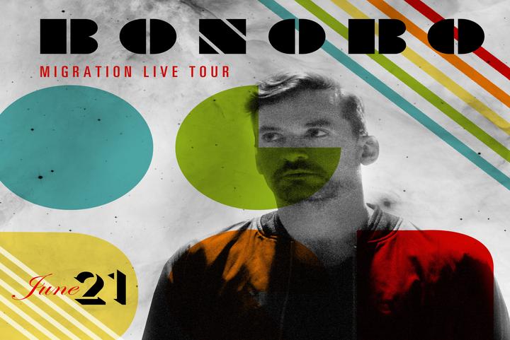Bonobo
