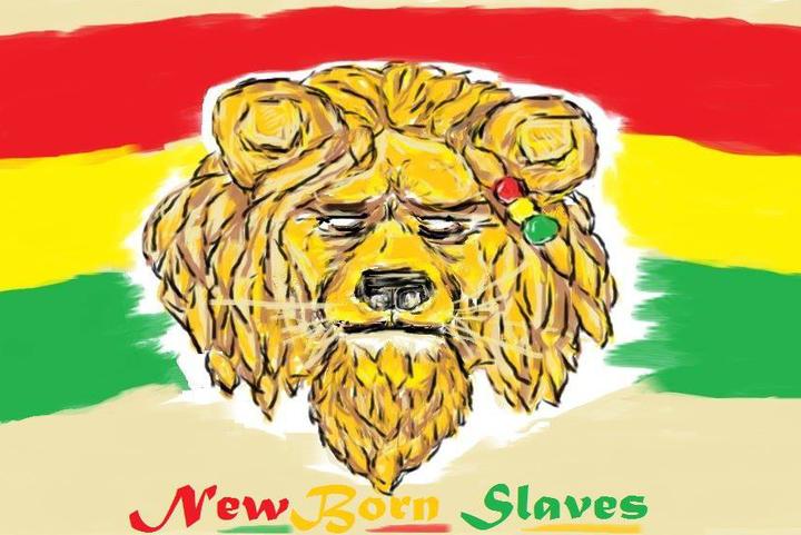 Newborn Slaves