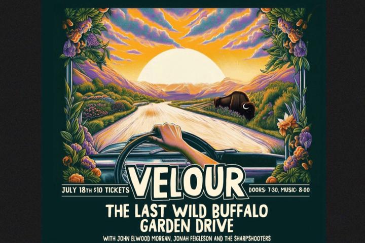 The Last Wild Buffalo + Garden Drive