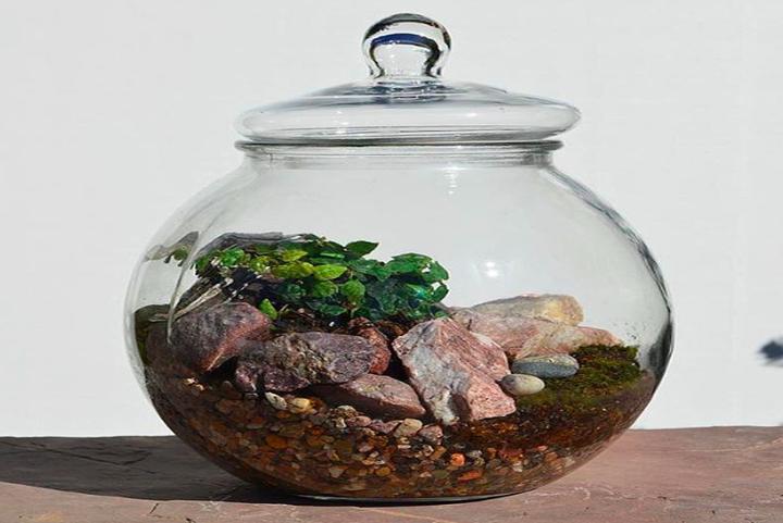 Terrarium Workshop