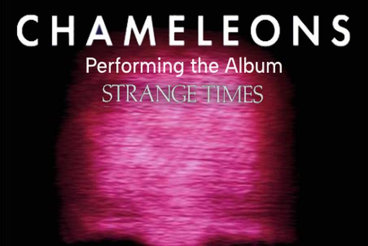 Chameleons