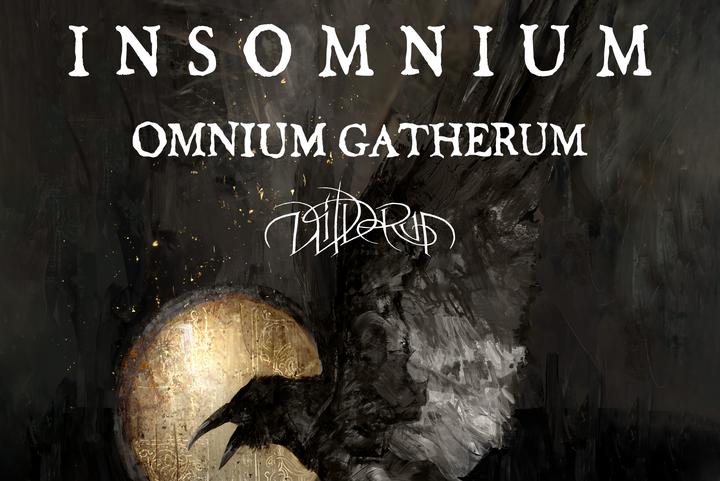 INSOMNIUM image