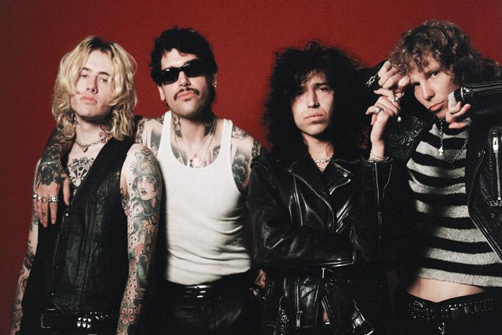 BEAUTY SCHOOL DROPOUT image