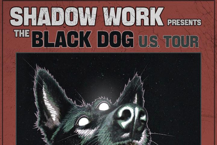 Shadow Work image
