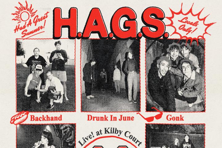 H.A.G.S Festival image