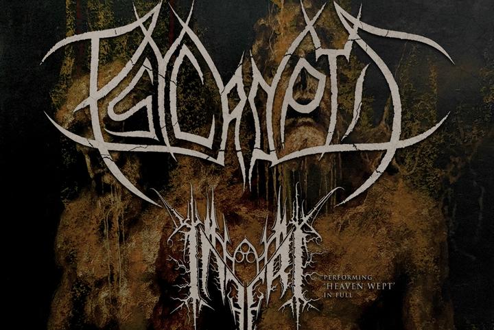 Psycroptic image