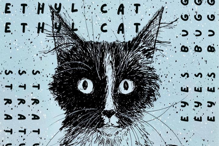 Ethyl Cat  image