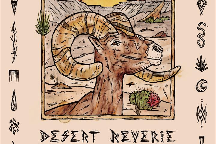 Desert Reverie