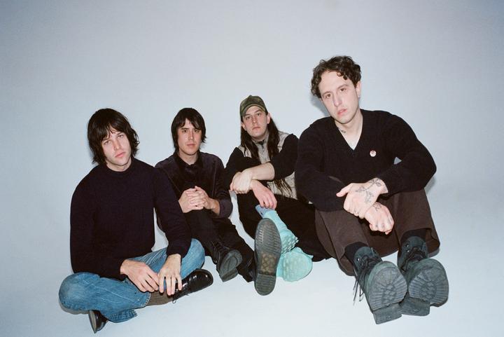 Beach Fossils image