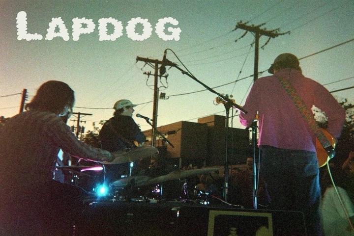 Lapdog