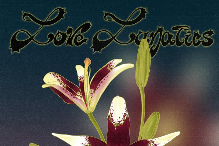 Love Lunatics image
