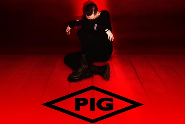 PIG