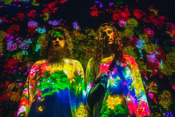 Hippie Sabotage