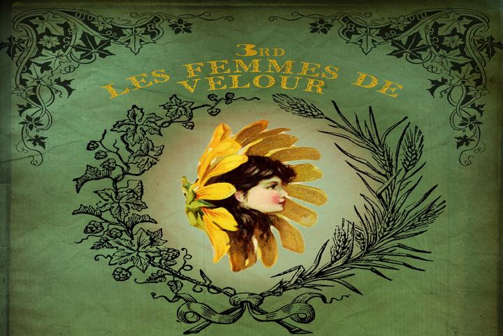 Les Femmes De Velour - Night 2