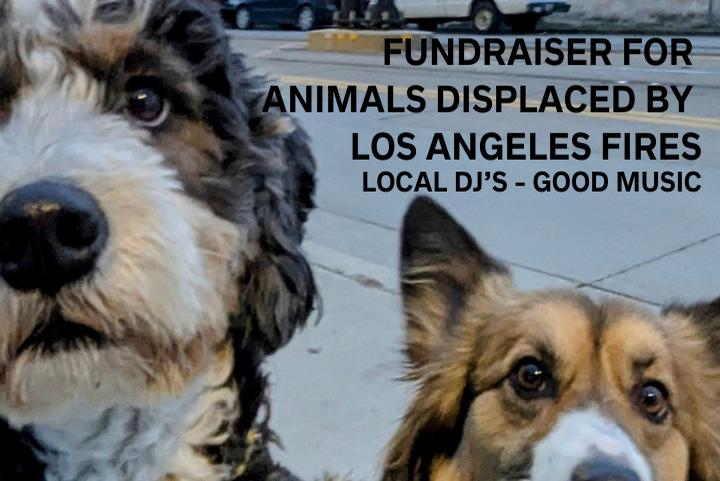 Best Friends Again: LA Fire Benefit