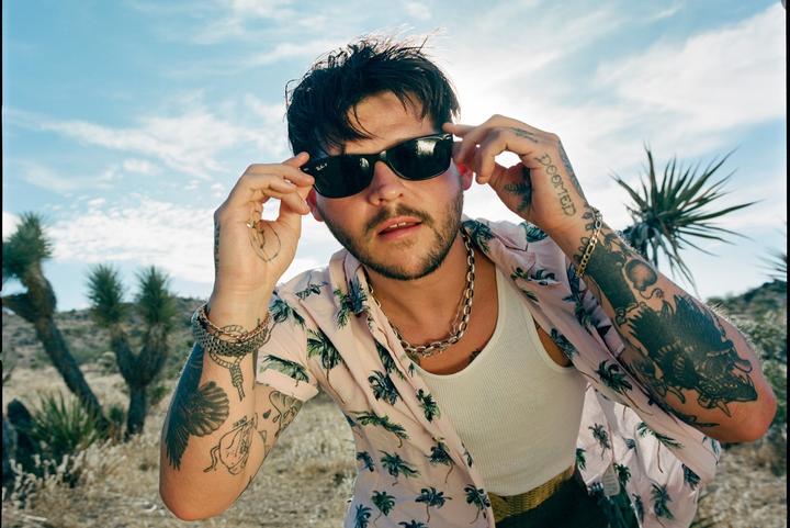 Wavves