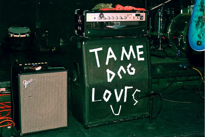 Tame Dog "Final Show"