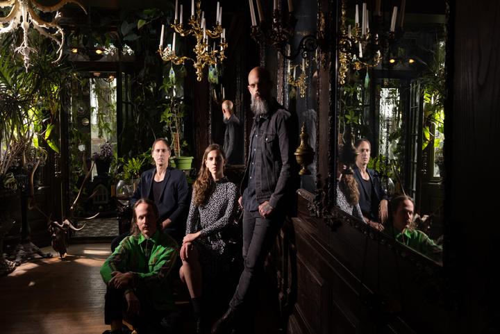 BARONESS image