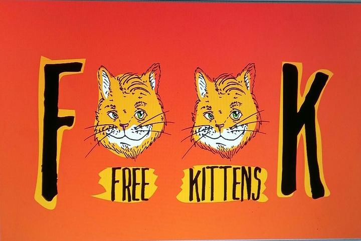 Free Kittens Comedy