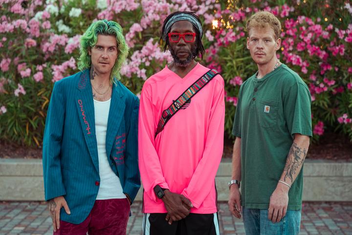 Too Many Zooz