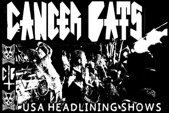 Cancer Bats image