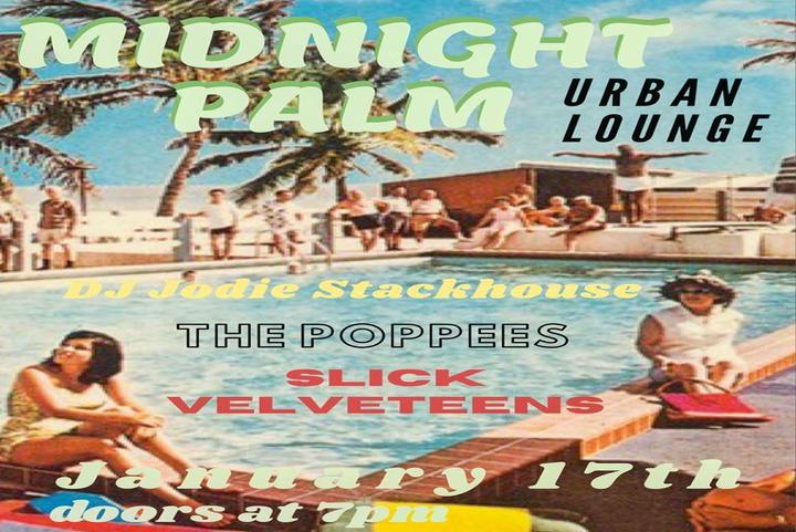 Midnight Palm