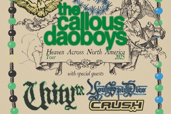 The Callous Daoboys image
