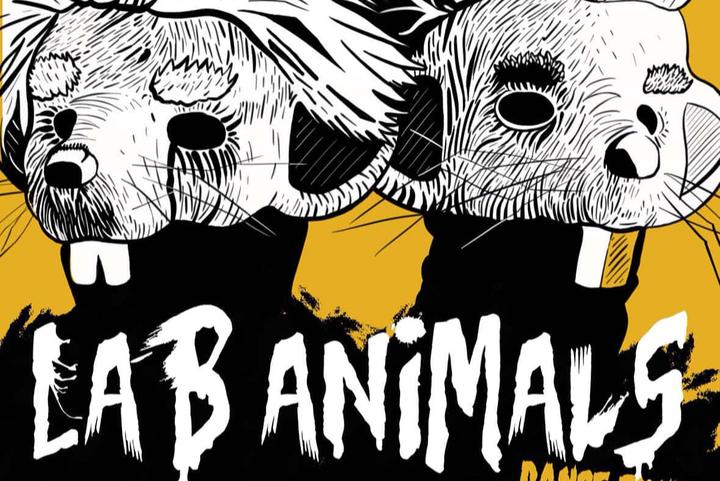 Lab Animals