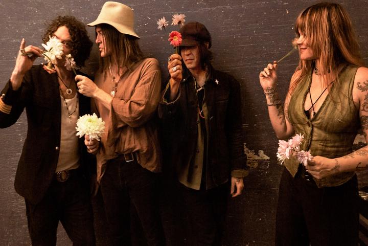 THE DANDY WARHOLS image