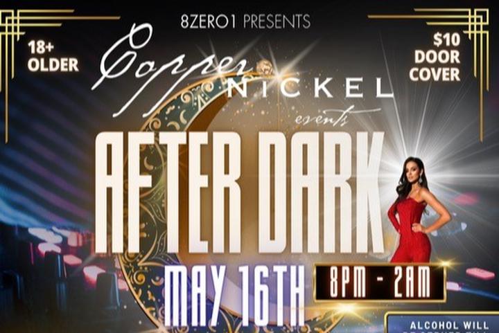 The After Dark After Party image