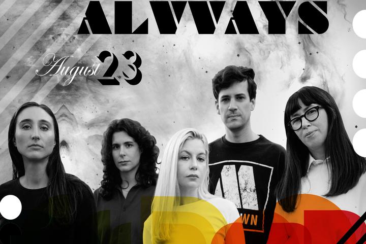 Alvvays image