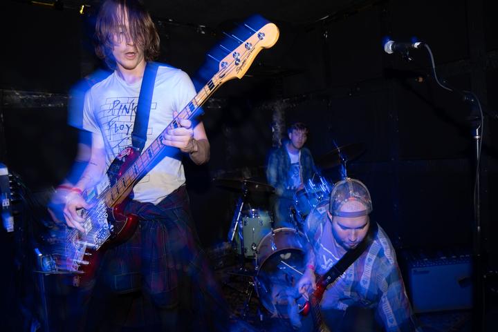 Ophelias Drowning image