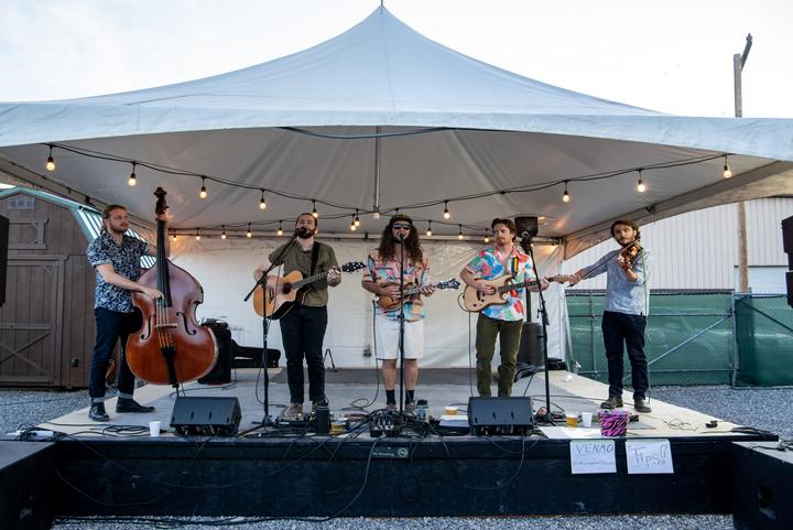 Cancelled: The Pickpockets: Backyard Show